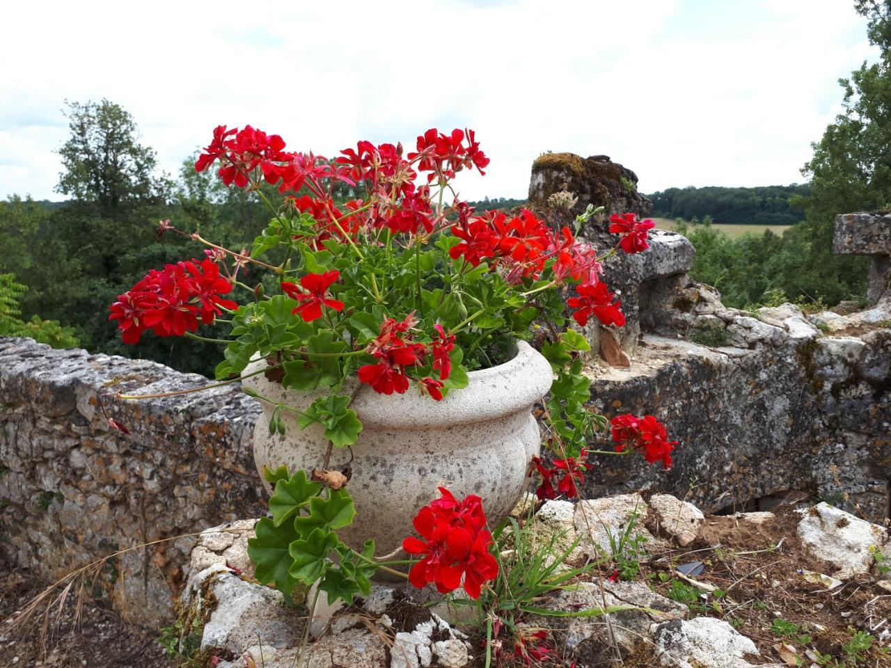 Villa Du Cerf Thibault Le Blanc Bagian luar foto